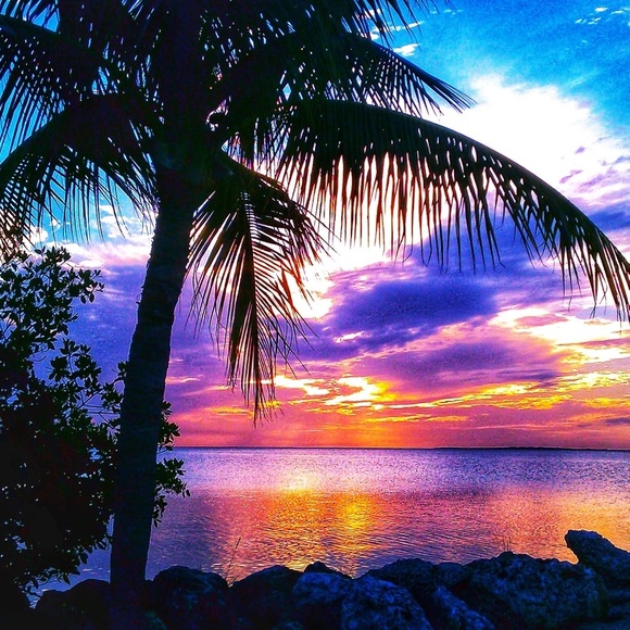 Meet your Posher, Claire! ๐๐๐ - Picture 6 of 8